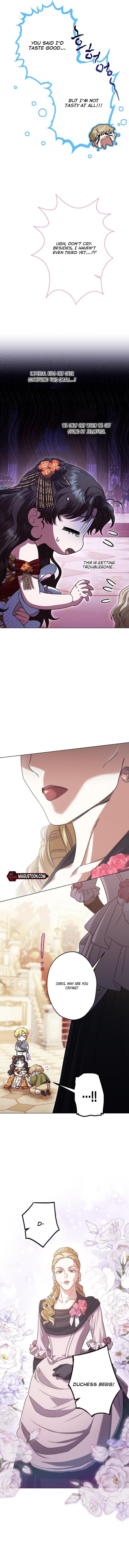 I Became The Youngest Sister-in-law Of The Male Leads In A Tragic Reverse Harem Chapter 39 Page 5