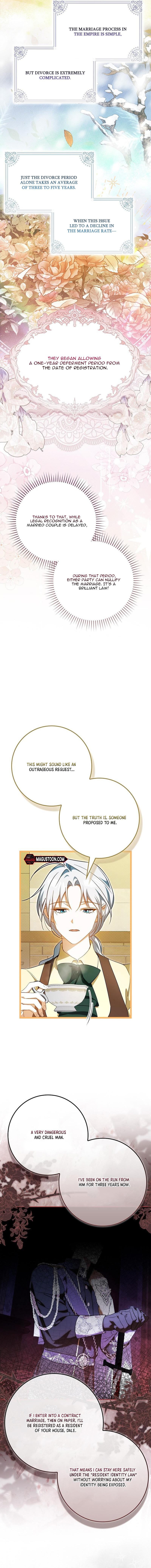 My Contract Husband Resembles the Male Protagonist Chapter 3 Page 4