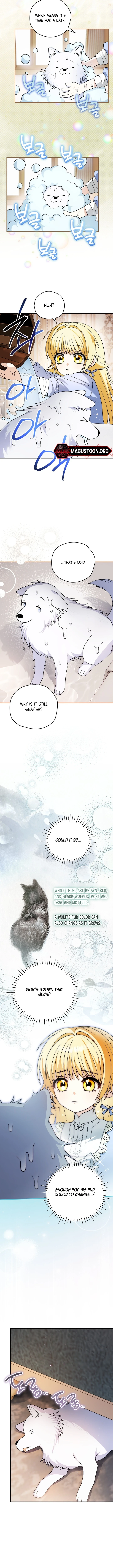 To My Beloved Wolf Chapter 18 Page 9