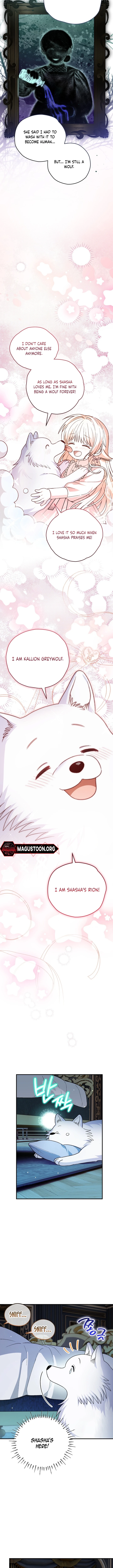 To My Beloved Wolf Chapter 18 Page 12