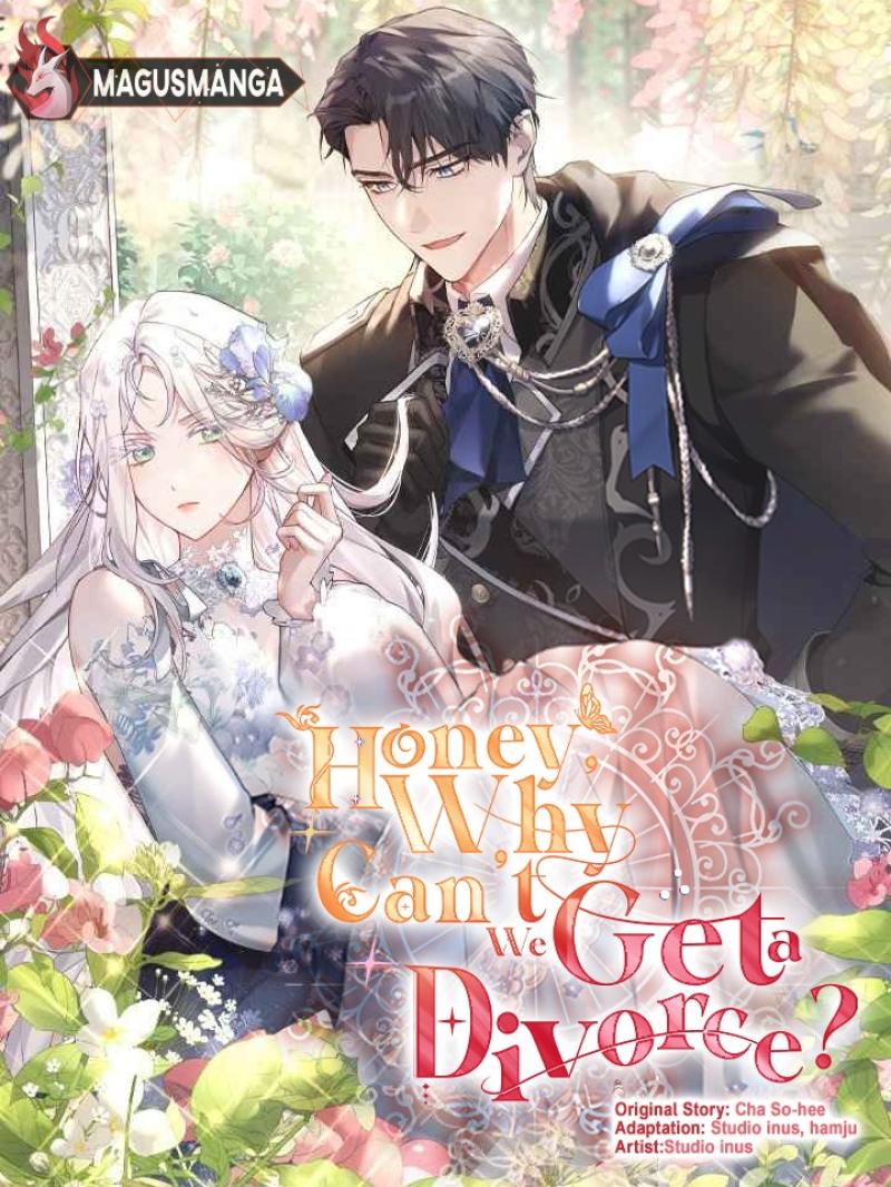Cover of Honey, Why Can't We Get A Divorce?
