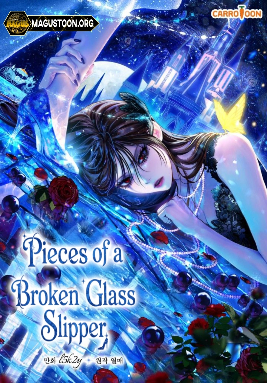 Pieces of a Broken Glass Slipper
