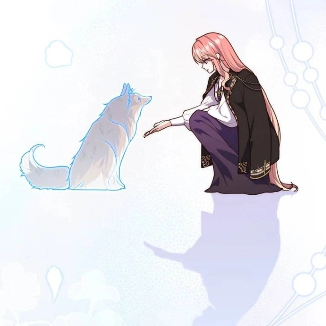Chapter 144