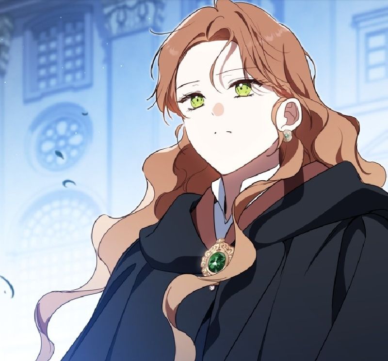 Chapter 216