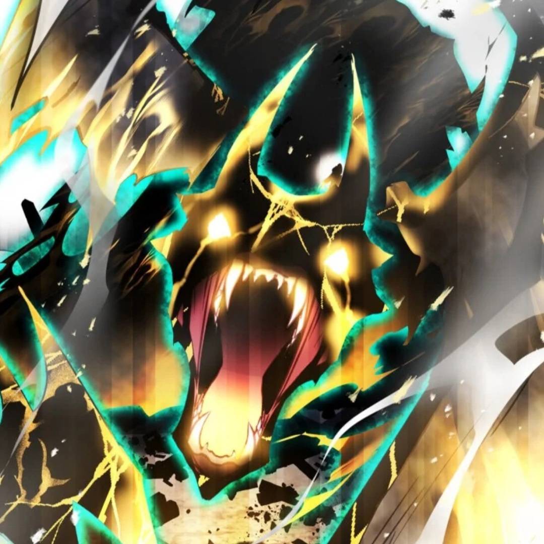 Chapter 206