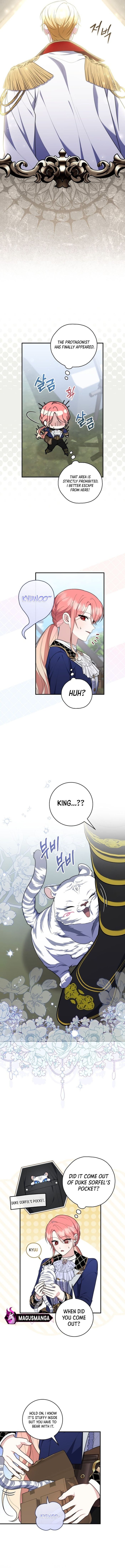 A Fortune Telling Princess Chapter 51 - Chapter 51 Page 13