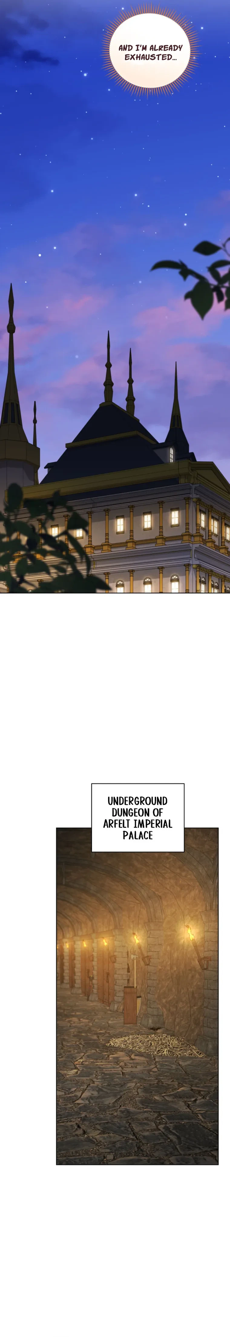 After Resignation, I Refuse the Obsession from the Male Leads Chapter 22 Page 24