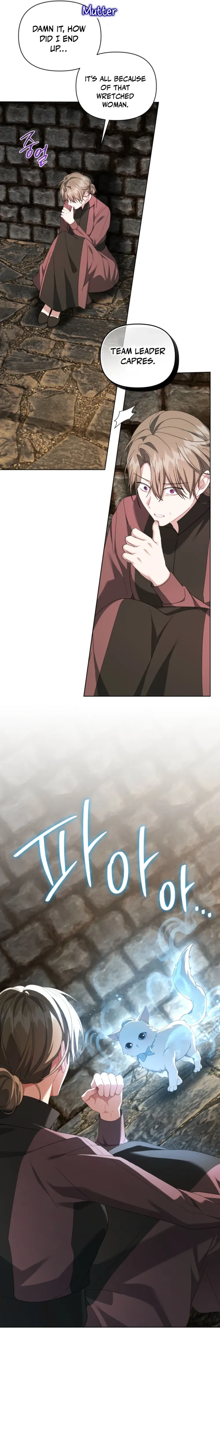 After Resignation, I Refuse the Obsession from the Male Leads Chapter 22 Page 25