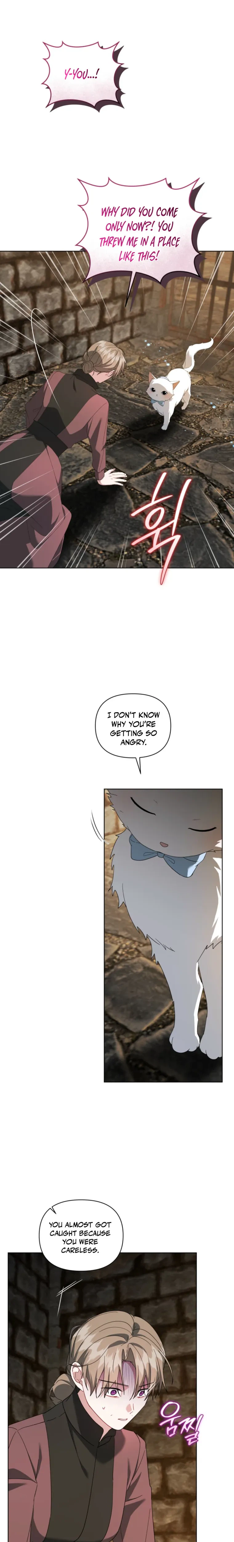 After Resignation, I Refuse the Obsession from the Male Leads Chapter 22 Page 26
