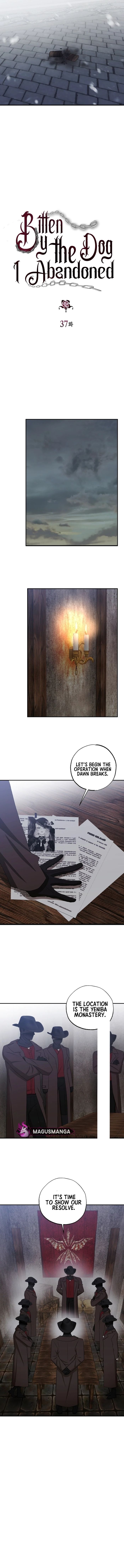 Bitten by the Dog I Abandoned Chapter 37 - Chapter 37 Page 2