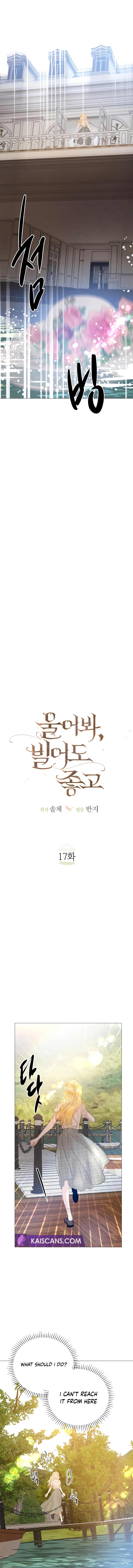 Cry, Even Better if you Beg Chapter 17 - Chapter 17 Page 11
