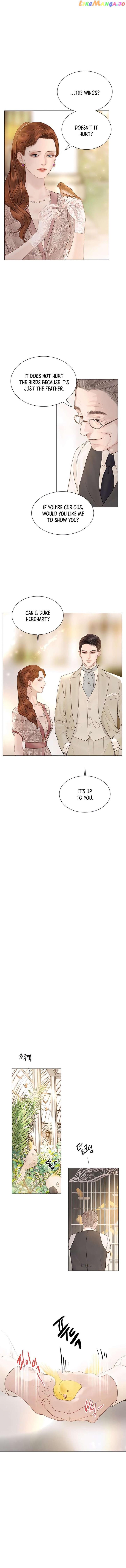 Cry, Even Better if you Beg Chapter 11 - Chapter 11 Page 8