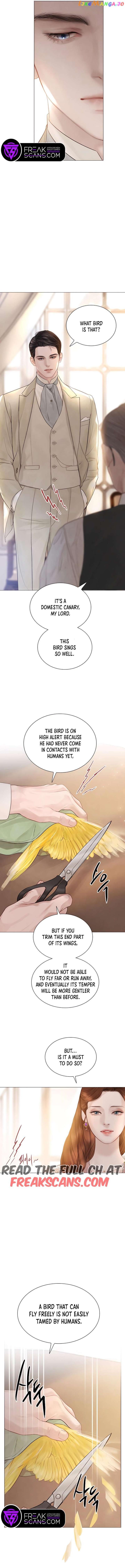 Cry, Even Better if you Beg Chapter 11 - Chapter 11 Page 9