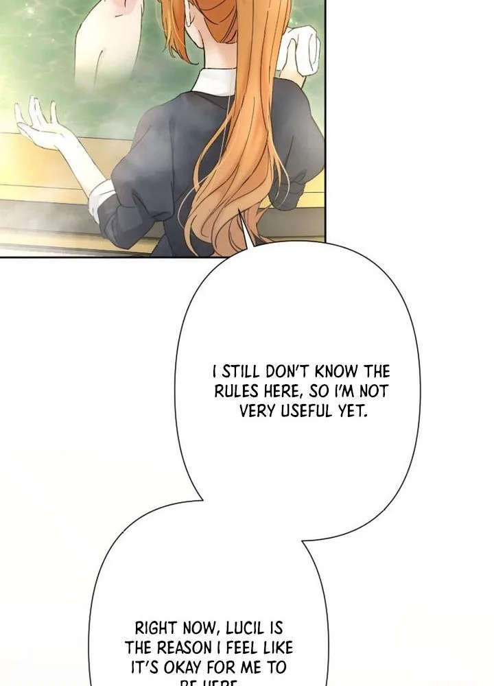 I Became Part of the Duke’s Four Brothers’ Family Chapter 13 Page 20