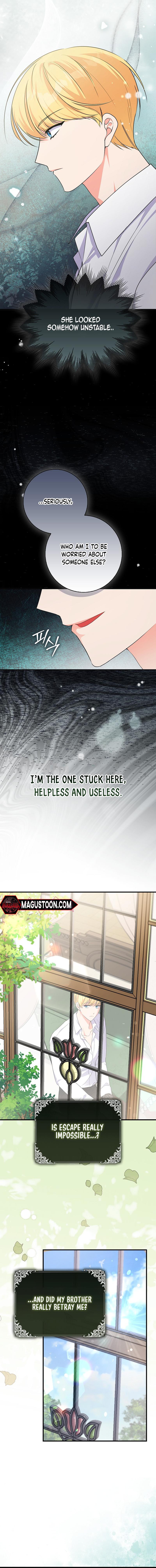 I Became The Male Leads’ Target Chapter 5 - Chapter 05 Page 8