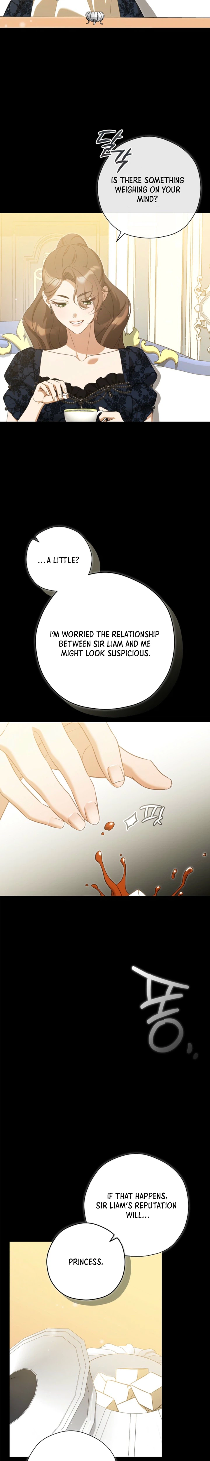I Will Step Down As Empress Chapter 17 Page 8
