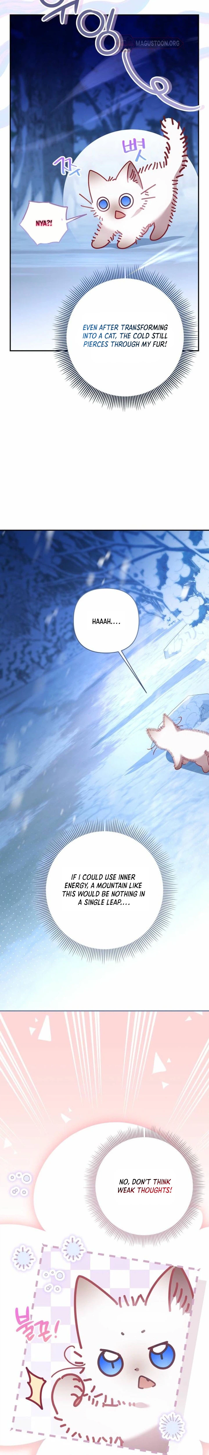 I’m the Baby Kitty Who Rules the Beast Clan Chapter 1 Page 9