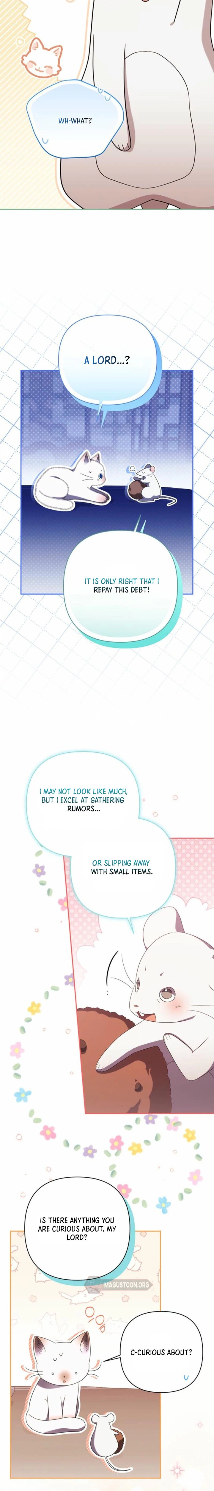 I’m the Baby Kitty Who Rules the Beast Clan Chapter 15 Page 10