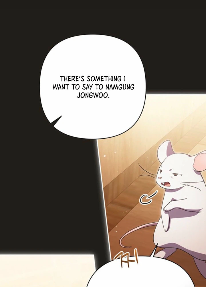 I’m the Baby Kitty Who Rules the Beast Clan Chapter 18 Page 12