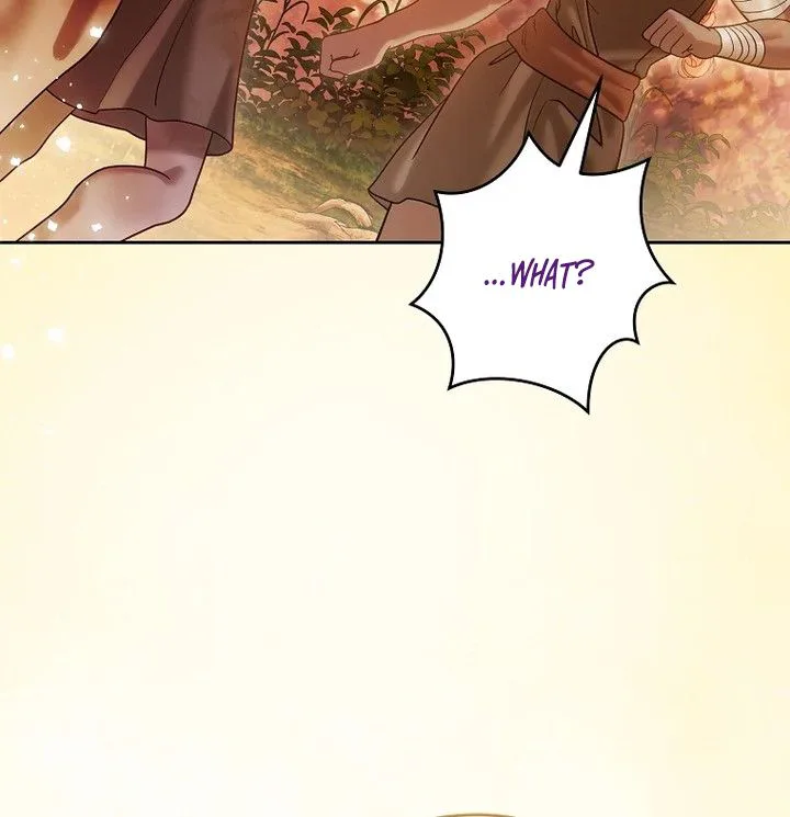 Imperial Maid Chapter 41 Page 29