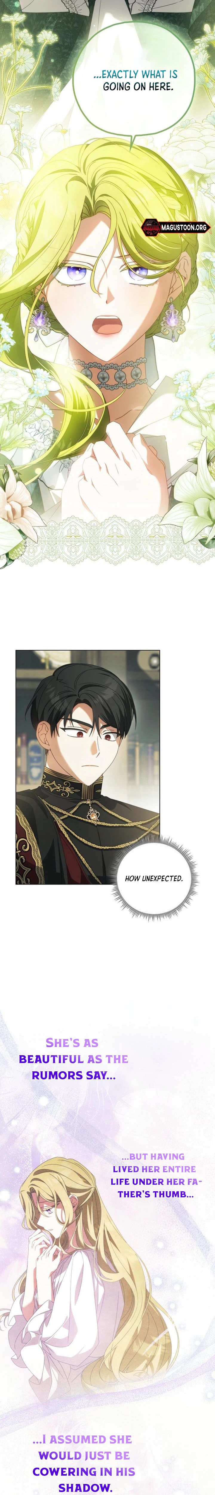 Looking for the Villainess's Contract Husband Chapter 15 Page 5