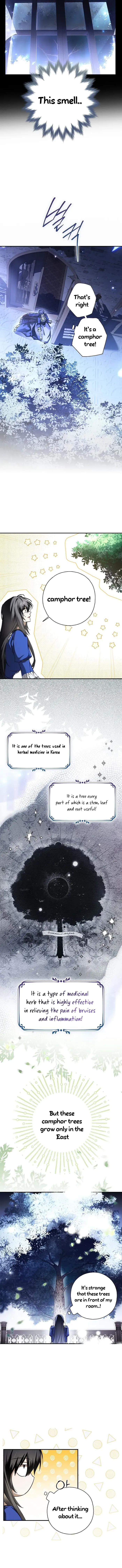 My Body Has Been Possessed by Someone Chapter 5 - Chapter 5 Page 10