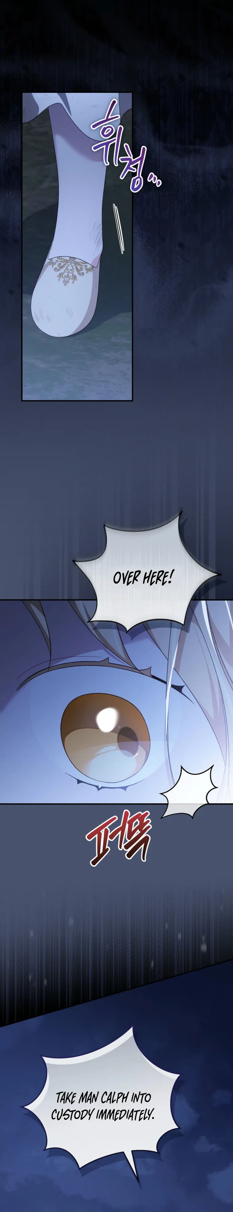 My Numbered Days of Happiness Chapter 64 Page 12
