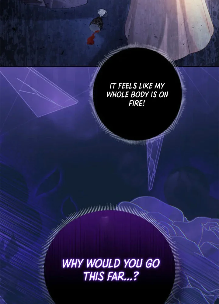 My Turn in This Life ~A Poisoned Cup of Doom for You All~ Chapter 1 Page 28