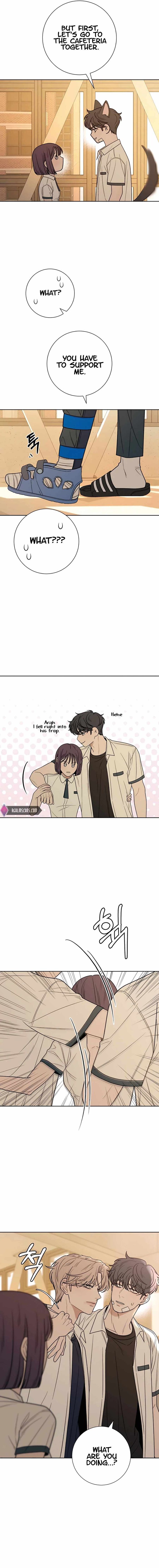 Operation True Love Chapter 67 - Chapter 67 Page 12