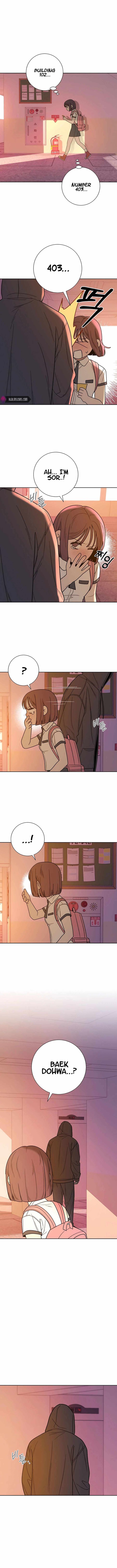 Operation True Love Chapter 53 - Chapter 53 Page 17