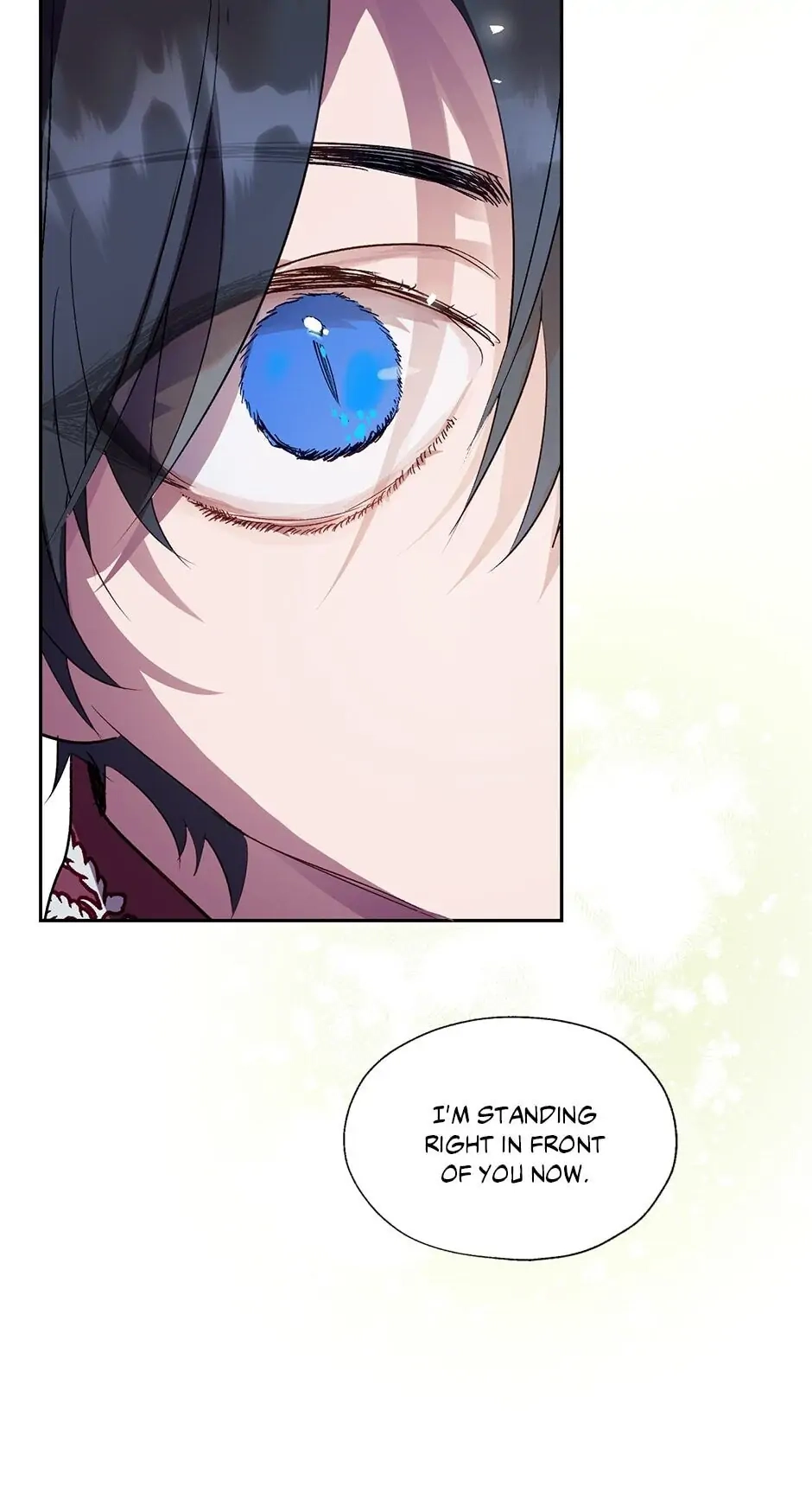 Roxana: The Way to Protect the Female Lead's Older Brother Chapter 28 Page 72