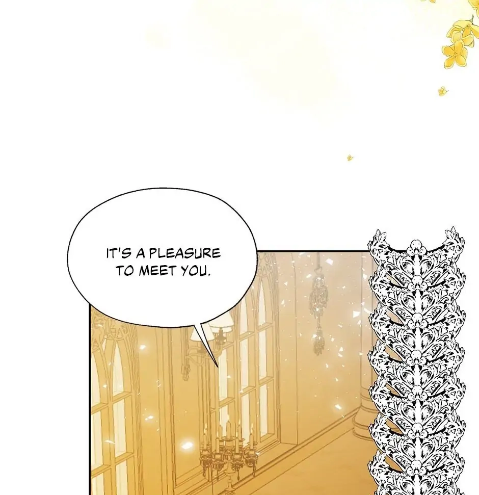 Roxana: The Way to Protect the Female Lead's Older Brother Chapter 32 Page 13