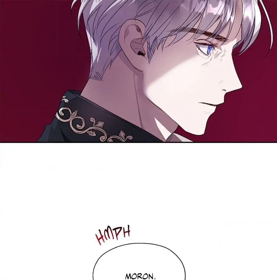 Roxana: The Way to Protect the Female Lead's Older Brother Chapter 32 Page 30