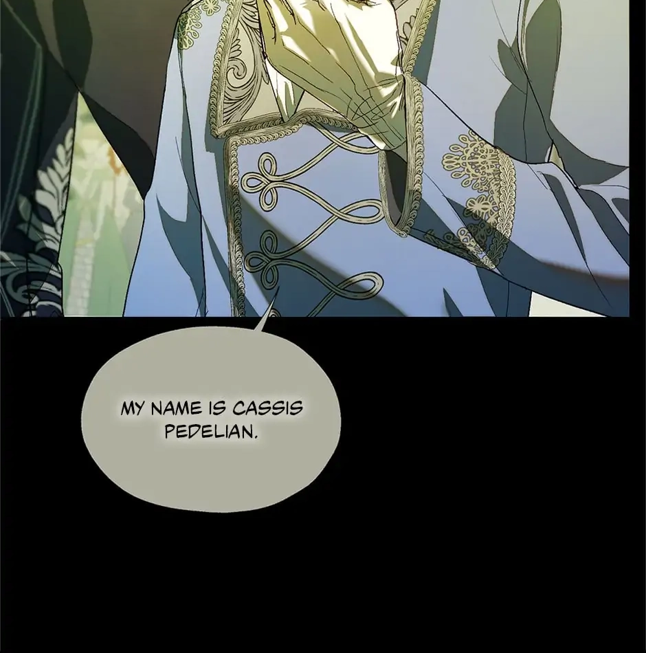 Roxana: The Way to Protect the Female Lead's Older Brother Chapter 43 Page 34