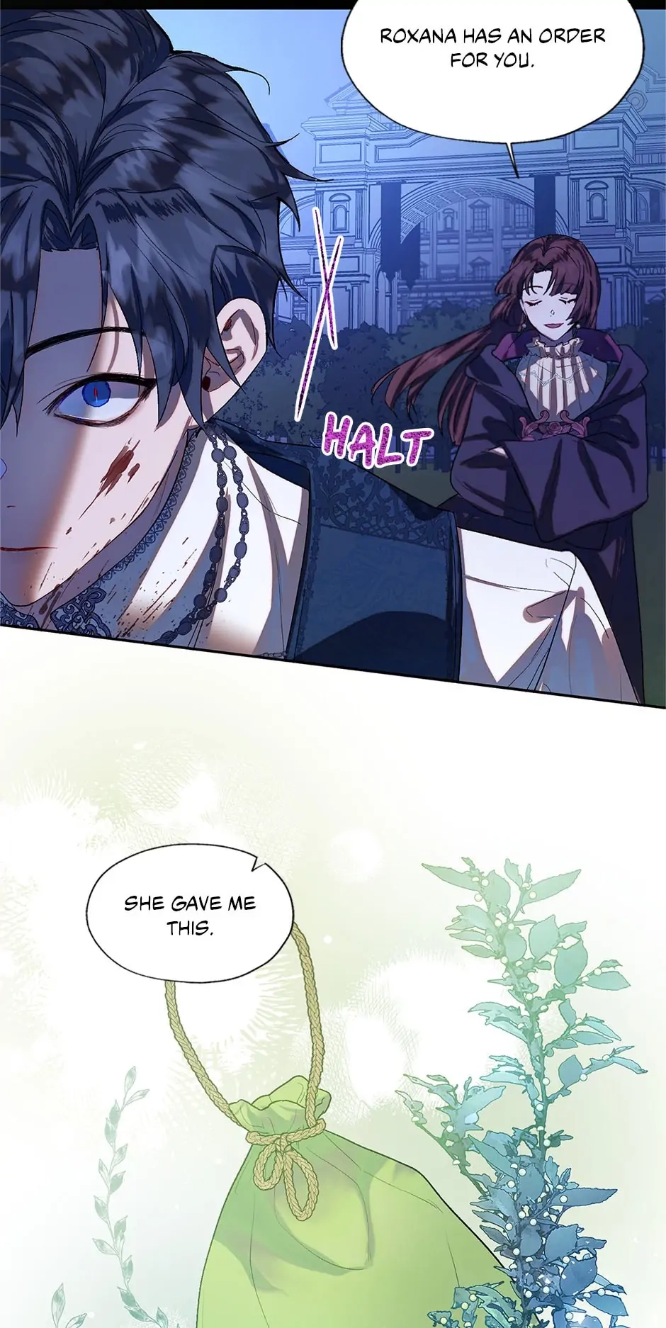 Roxana: The Way to Protect the Female Lead's Older Brother Chapter 39 Page 17