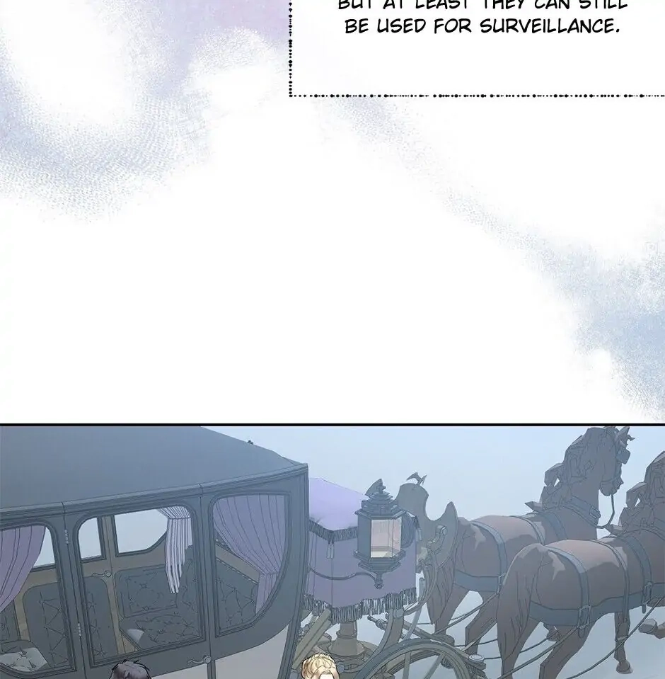 Roxana: The Way to Protect the Female Lead's Older Brother Chapter 30 Page 43