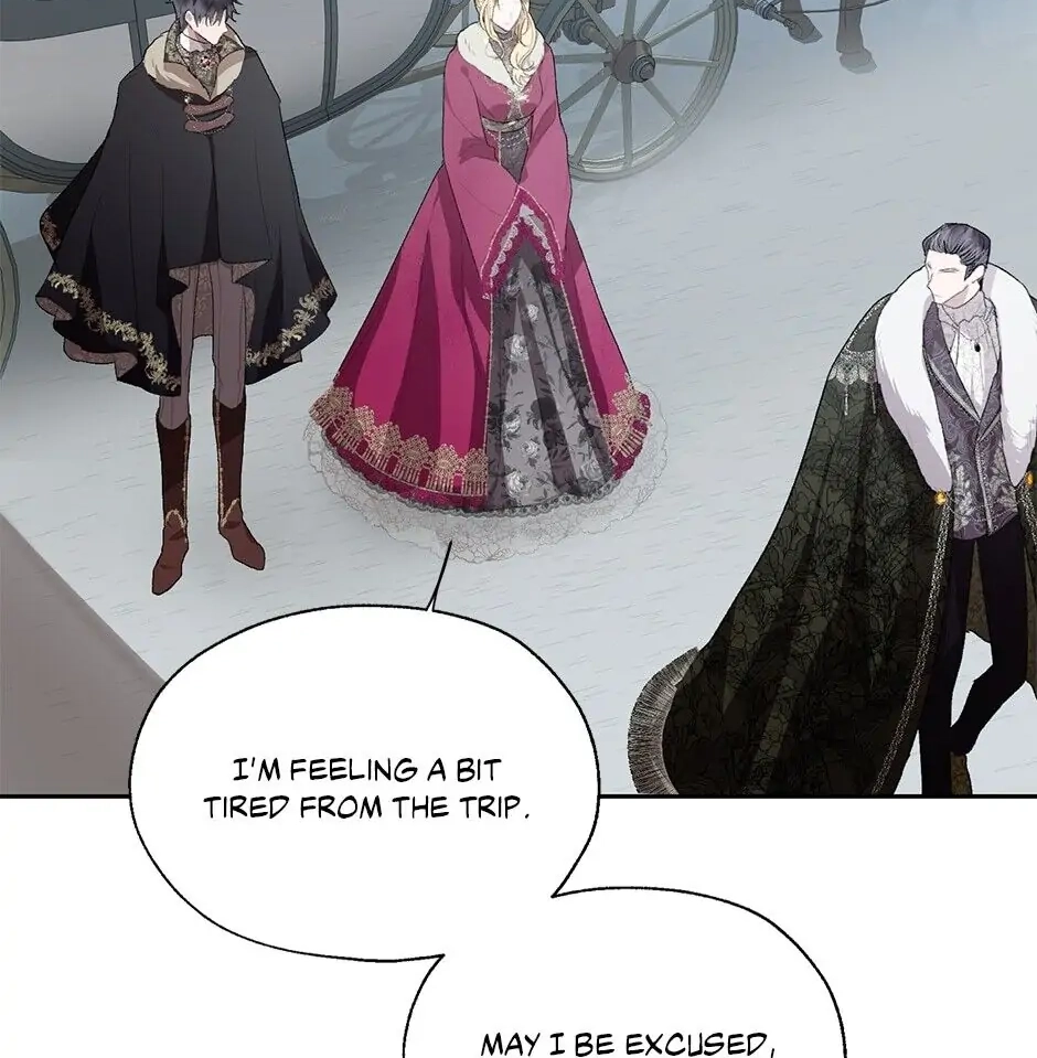 Roxana: The Way to Protect the Female Lead's Older Brother Chapter 30 Page 44