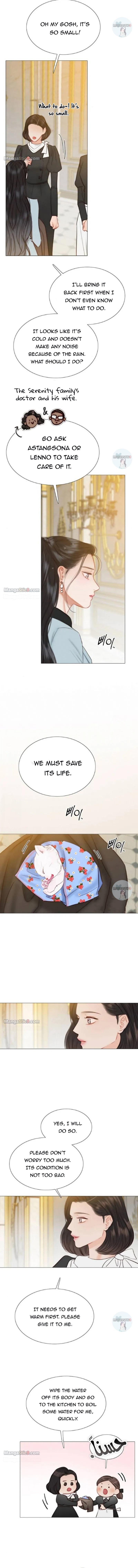 Serena Chapter 41 - Chapter 41 Page 3