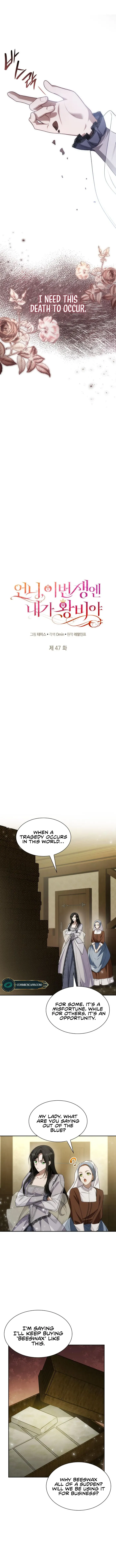 Sister I am the Queen in This Life Chapter 47 - Chapter 47 Page 4