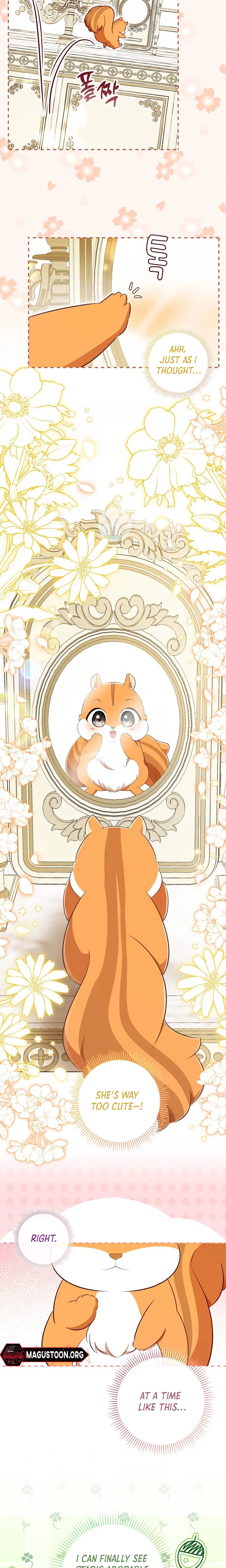 Talented baby squirrel Chapter 120.3 Page 13