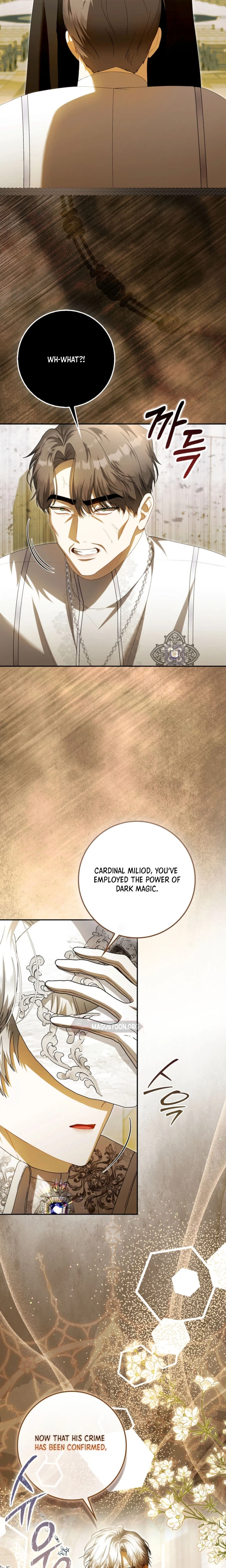 The Baby Fairy is a Villain Chapter 74 Page 5