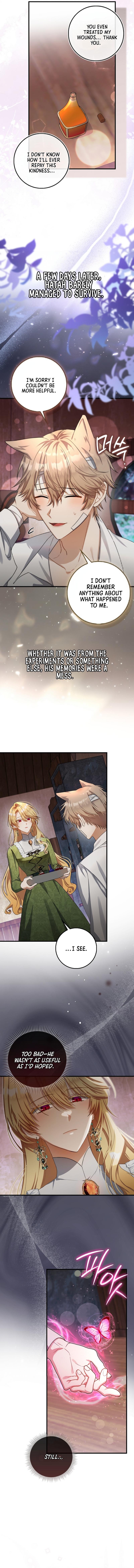 The Baby Fairy is a Villain Chapter 13 - Chapter 13 Page 3