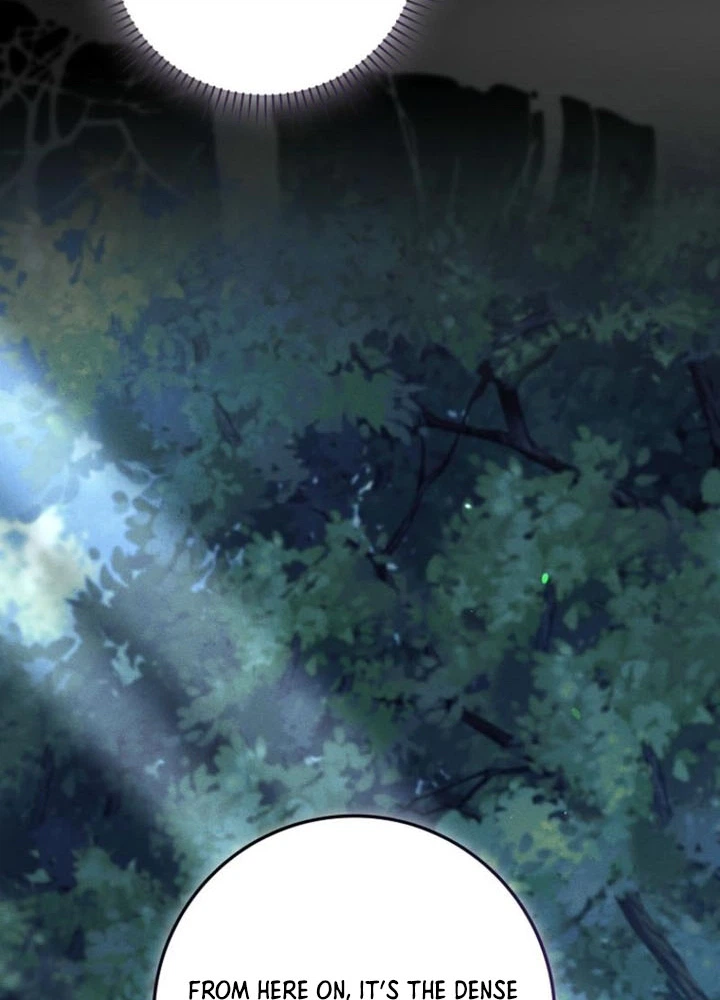 The Baby Fairy is a Villain Chapter 65 Page 24