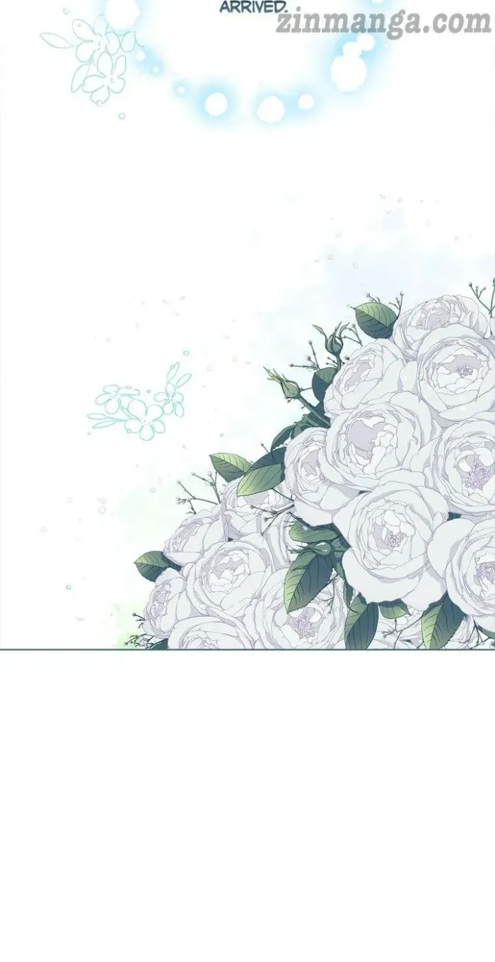The Broken Ring: This Marriage Will Fail Anyway Chapter 14 – Chapter 14 Page 31