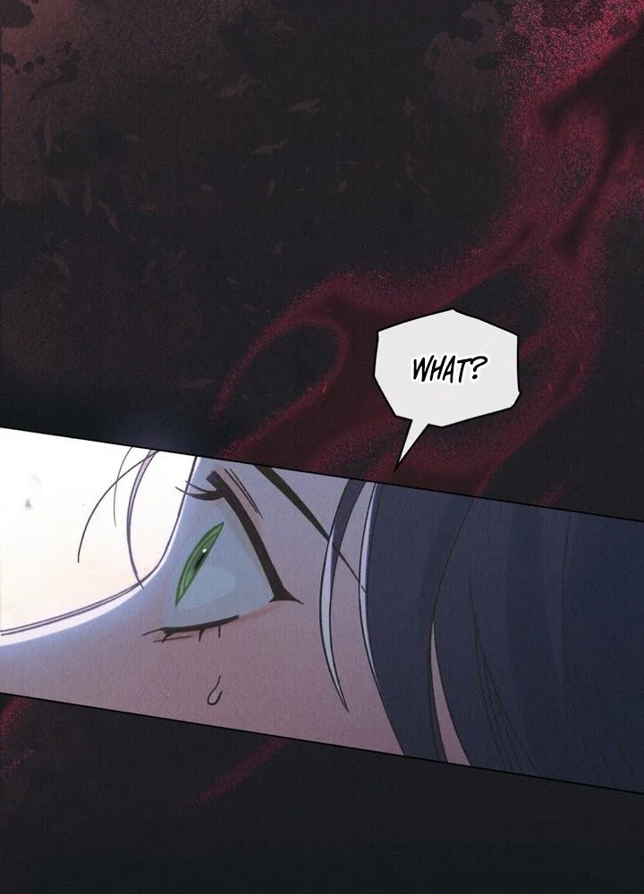 The Butterfly That Swallowed the Mist Chapter 33 Page 13