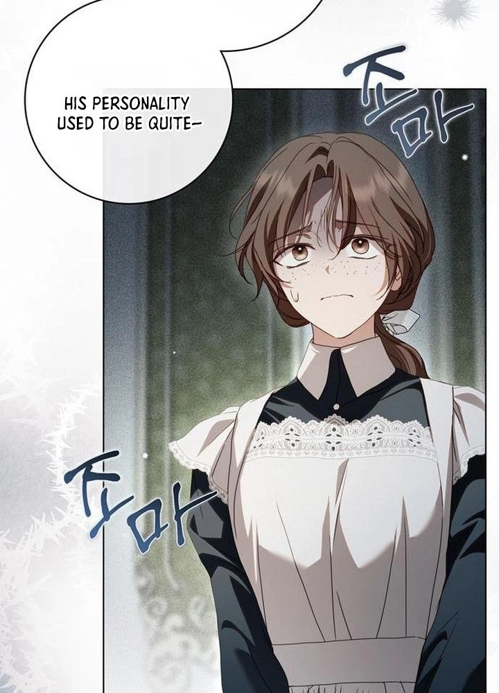 The Count’s Secret Maid Chapter 94 Page 28