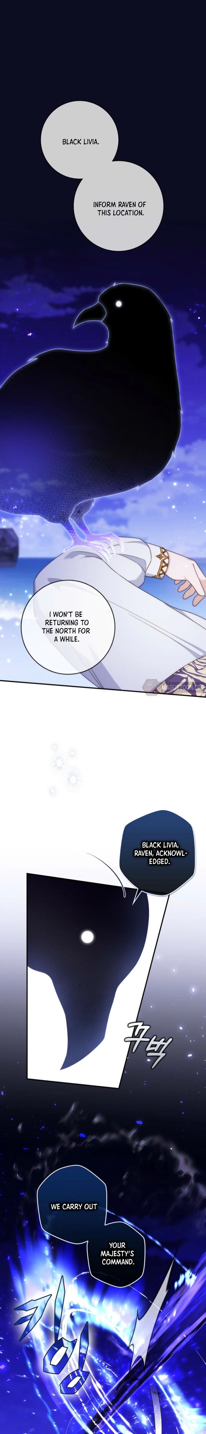 The Emperor’s Marriage Scam Chapter 3 Page 13