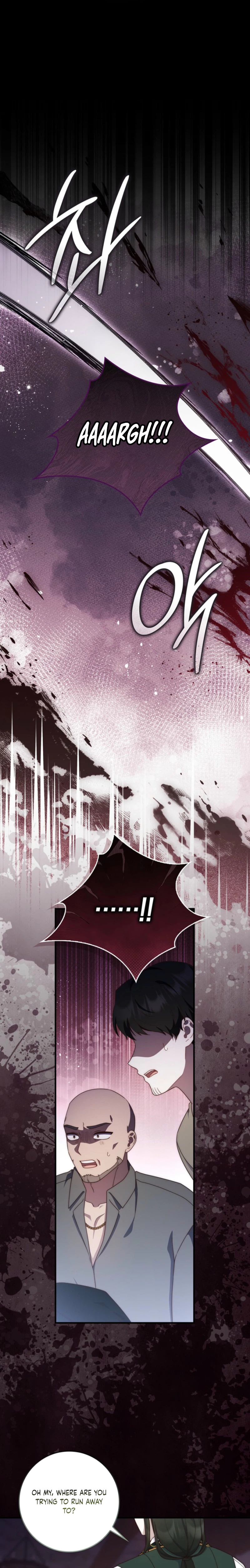 The Emperor’s Marriage Scam Chapter 17 Page 24