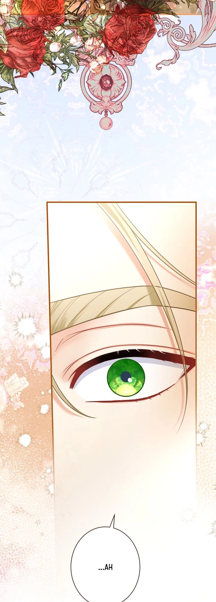 The Lady With Dual Personalities Chapter 22 Page 33