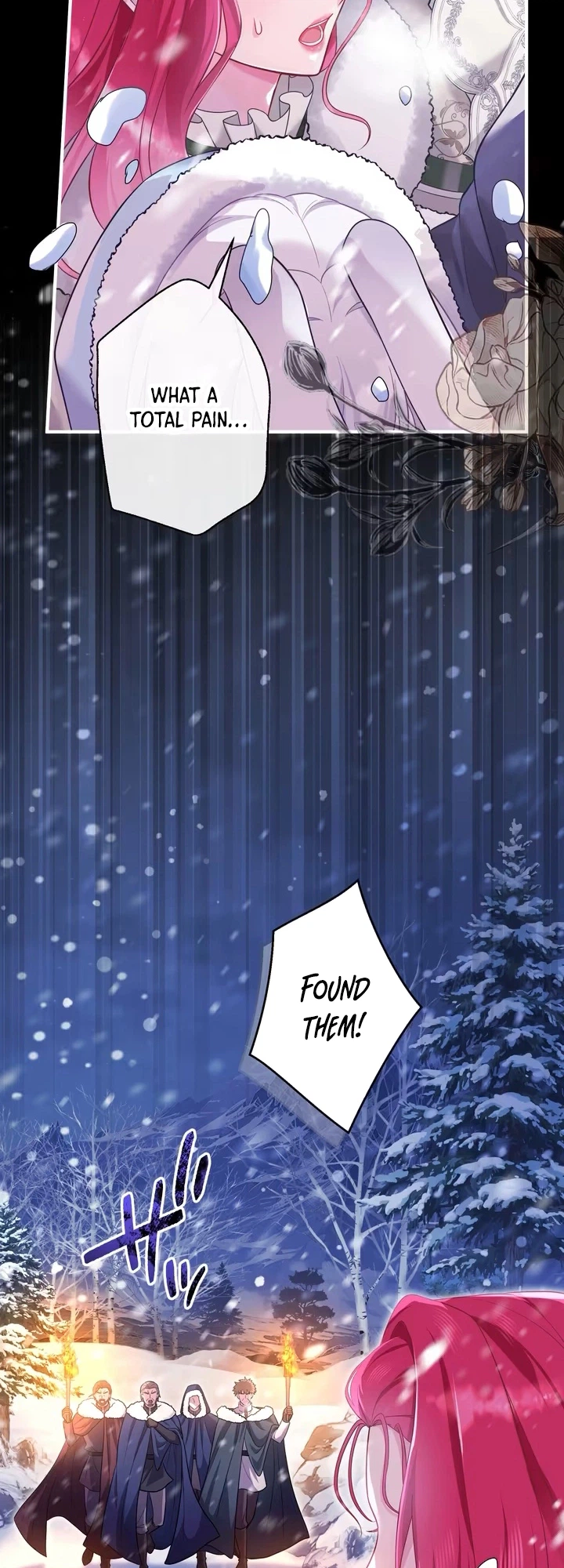 The Lady With Dual Personalities Chapter 17 Page 27